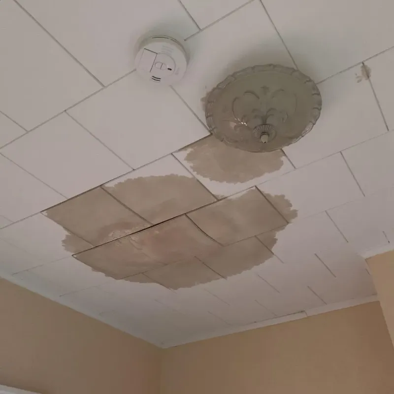 Ceiling Water Damage Repair in Little Elm, TX