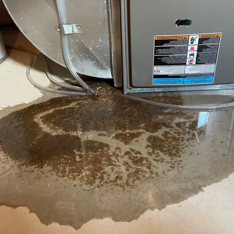 Pipe Burst and Leak Restoration in Little Elm, TX